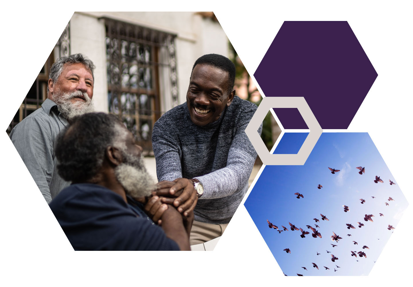 Hexagon collage with an image of men joyously reconnecting, and an image of birds flying free.
